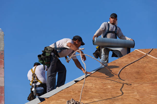 Roof Gutter Cleaning in Willow Springs, IL