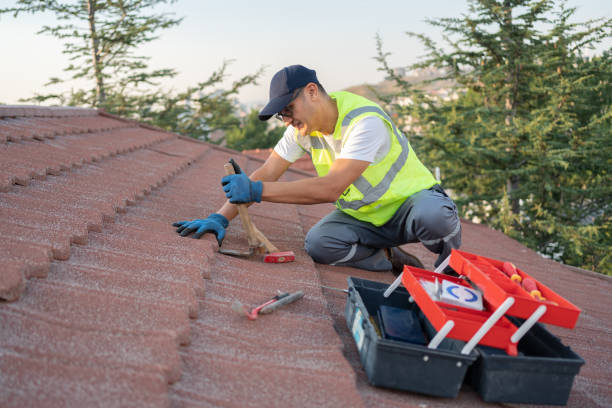 Best Roof Leak Repair  in Wlow Springs, IL
